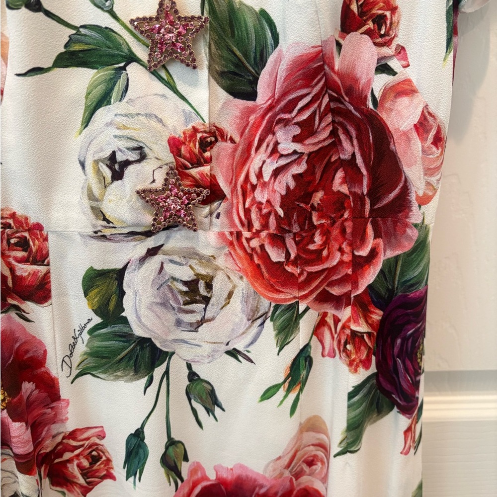 Dolce & Gabbana Multicolor Floral Mini Dress - Picture 4 of 9